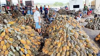 PREÇO BAIXO É NA CEACA EM CARUARU PERNAMBUCO ISTO É NORDESTE [upl. by Dasya]