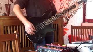 Bob Dylan  Knocking On Heavens Door Bass Cover [upl. by Nortad]