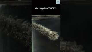 Electrolysis of sncl2 🥰✨👍🏻 science [upl. by Gentilis444]