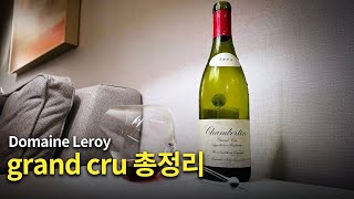 Domaine Leroy의 grand cru 와인들 총정리 🧐 [upl. by Canty]