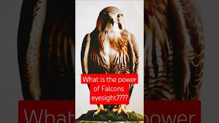 Remarkable eyesight of falcons  facts of falconsfacts factshorts shorts falcon [upl. by Enirbas]