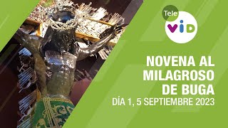 Novena al Milagroso de Buga Día 1 🙏 5 de Septiembre 2023 TeleVID MilagrosoDeBuga [upl. by Nosae272]