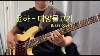 윤하  태양 물고기 Bass cover [upl. by Stelu949]