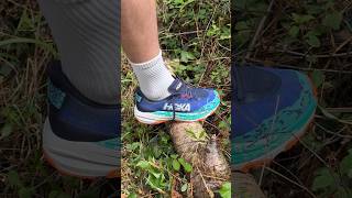 Which HOKA Speedgoat 6 colourway do you need 👀 running runningshoes trailrunning [upl. by Willette]