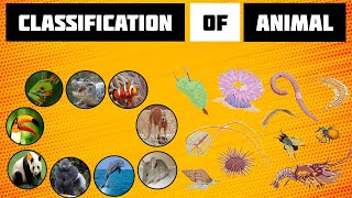 Classification of Animals  Vertebrates and Invertebrates  General knowledge [upl. by Esbensen]