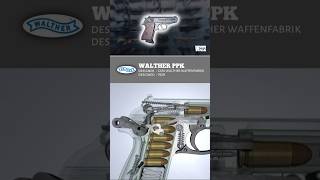 How an WALTHER PPK 1929 work [upl. by Lecirg252]