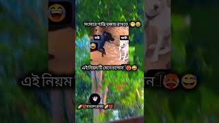 সংসারে শান্তি বজায় রাখতে হবে 😁😃 banglacomady funny comedyvideo কcomedy memes motivation [upl. by Cozza180]