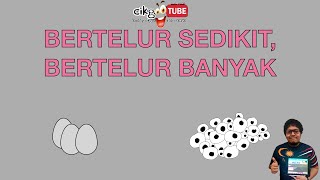 Sains Tahun 2 Bertelur Sedikit dan Bertelur Banyak cikgooTube CikguZoul [upl. by Cissej]