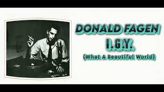 Donald Fagen  IGY Orig Full Instrumental HD Enhanced Sound 2023 [upl. by Raymund457]