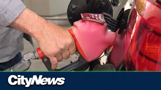 Canadian Tax Payers Federation want Gas Tax cut permanent [upl. by Nita]