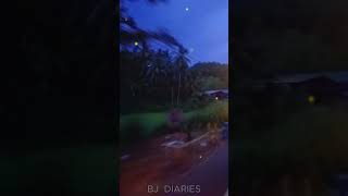 Paara Dige  පාර දිගේ 9 🥰  shorts viral vlogs trending travel travelvlog sunset nature [upl. by Jonie]