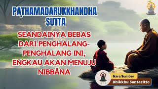 Perumpamaan Balok Kayu Mengapung Menuju Kedamaian Sejati Nibbāna I Bhikkhu Santacitto [upl. by Wichern459]