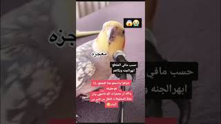 بغبان يقراء القران سبحان الله العظيم 😳 اكسبلور summer ترند دويتو تيكتوك [upl. by Oilegor812]