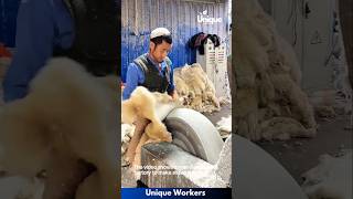 Sheepskin rug making process  The workers do their job perfectly  machine shorts [upl. by Ylrae753]