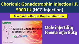 LupiHCG 5000 IU injection  Chorionic Gonadotrophin Injection IP 5000 IU Use [upl. by Zanze]