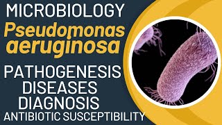 Pseudomonas aeruginosa pathogenesis  general properties virulence factors disease lab tests [upl. by Gnort472]