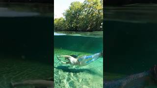 REAL mermaid swims in natural spring relaxing mermaid swim florida underwater h2o mermaidtail [upl. by Yezdnil]