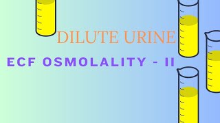 ECF OSMOLALITY II Dilute Urine [upl. by Elbas51]