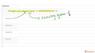 Origin of nephridia in earthworm is [upl. by Tomasz]