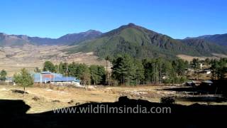 View from Dewachen Phobjikha Valley Bhutan [upl. by Lolly]