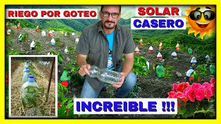 RIEGO por GOTEO SOLAR CASERO con botellas plásticas FUNCIONA con AGUA DE MAR  Gio de la Rosa [upl. by Naujak]