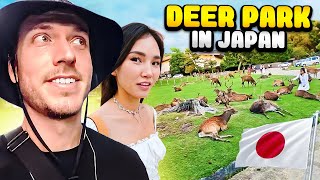 You NEED To Visit Nara Japans Deer Park w WaterLynn [upl. by Bowyer]