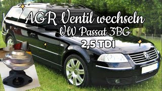 Abgas Werkstatt VW Passat 3BG 25 TDI AGR Ventil wechseln change VW Passat 3BG 25 TDI EGR valve [upl. by Ahsar985]