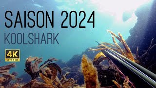 Chasse sous marine  Saison 2024 MorbihanBretagne [upl. by Ominorej271]