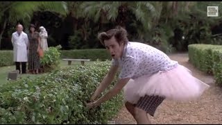 Ace Ventura Pet Detective 610 Best Movie Quote  Victory Dance 1994 [upl. by Oijimer]