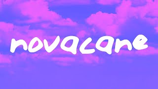 Frank Ocean  Novacane Lyrics [upl. by Gamber135]