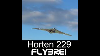 Horten HO 229 Kurzvideo Shorts [upl. by Aliemaj]