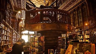 Livraria Lello Cidade do Porto em Portugal [upl. by Kammerer]