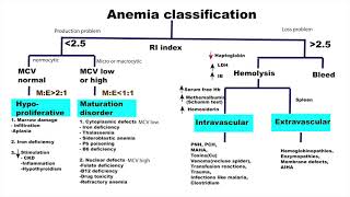 Anemia part 1 Causes and classification [upl. by Hanavas]