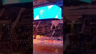 Forza Djurgården i Hockeyallsvenskan i Sverige Djurgården Hockey mot Tingsryds AIF Shorts [upl. by Ellinnet]