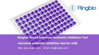 Ringbio Broad Spectrum Antibiotic Test Kit ACCUPLUS MAT5 the milk antibiotic inhibition test kit [upl. by Ereveniug]