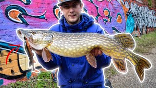 4 PIKE LURES you NEED [upl. by Asiulana]