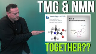 Why Take NMN and TMG Together [upl. by Cate]