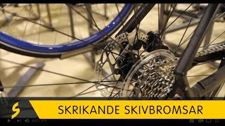 Skrikande skivbromsar på cykel [upl. by Renferd]