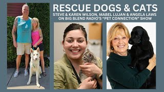 The Pet Connection  Rescue Dogs and Cats [upl. by Hadias]