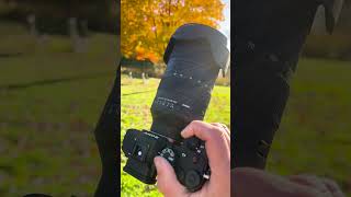 This Sigma Lens is a GAME CHANGER for Photography [upl. by Yroffej]