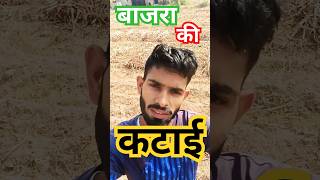 बाजरा की फ़सल की कटाई 💫👉fieldsworkoutmotivationhisarvillageharyanavillagedailyvlogdhansu [upl. by Ainivad922]