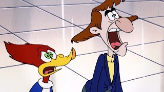 Woody Woodpecker  Couples Therapy  More Full Episodes [upl. by Zertnom]