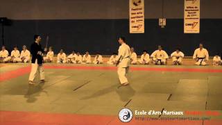 FestivAM17 2011 Kumite Sansetsukon vs Tonfa [upl. by Norda395]