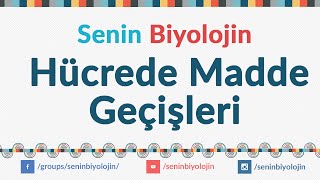 09Hücrede madde geçişleri [upl. by Aden893]