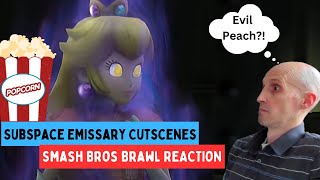 Reacting to every quotSubspace Emissaryquot cutscene  Smash Bros Brawl Reaction [upl. by Enilemme]