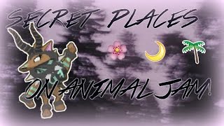 Secret  Hidden Places In Animal Jam  Animal Jam 2016 [upl. by Nelleeus]