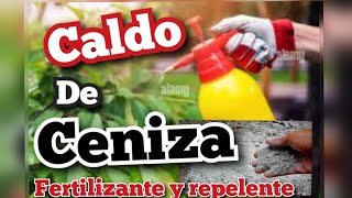 CALDO DE CENIZA SUPER FERTILIZANTE E INSECTICIDA [upl. by Aikemal]