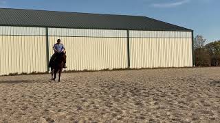 Epic Investment ‘16 AQHA gelding [upl. by Brigid]