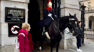 A Regal Encounter Mystery Lady Meets the Majestic Horse at Horse Guardquot [upl. by Rika962]