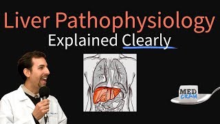 Liver Explained Clearly  Pathophysiology LFTs Hepatic Diseases [upl. by Aicilla]